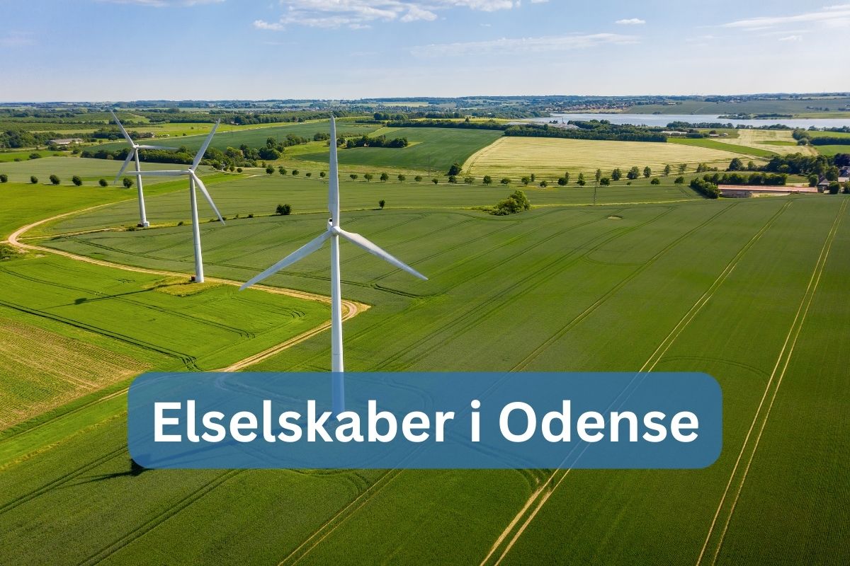 Elselskaber i Odense