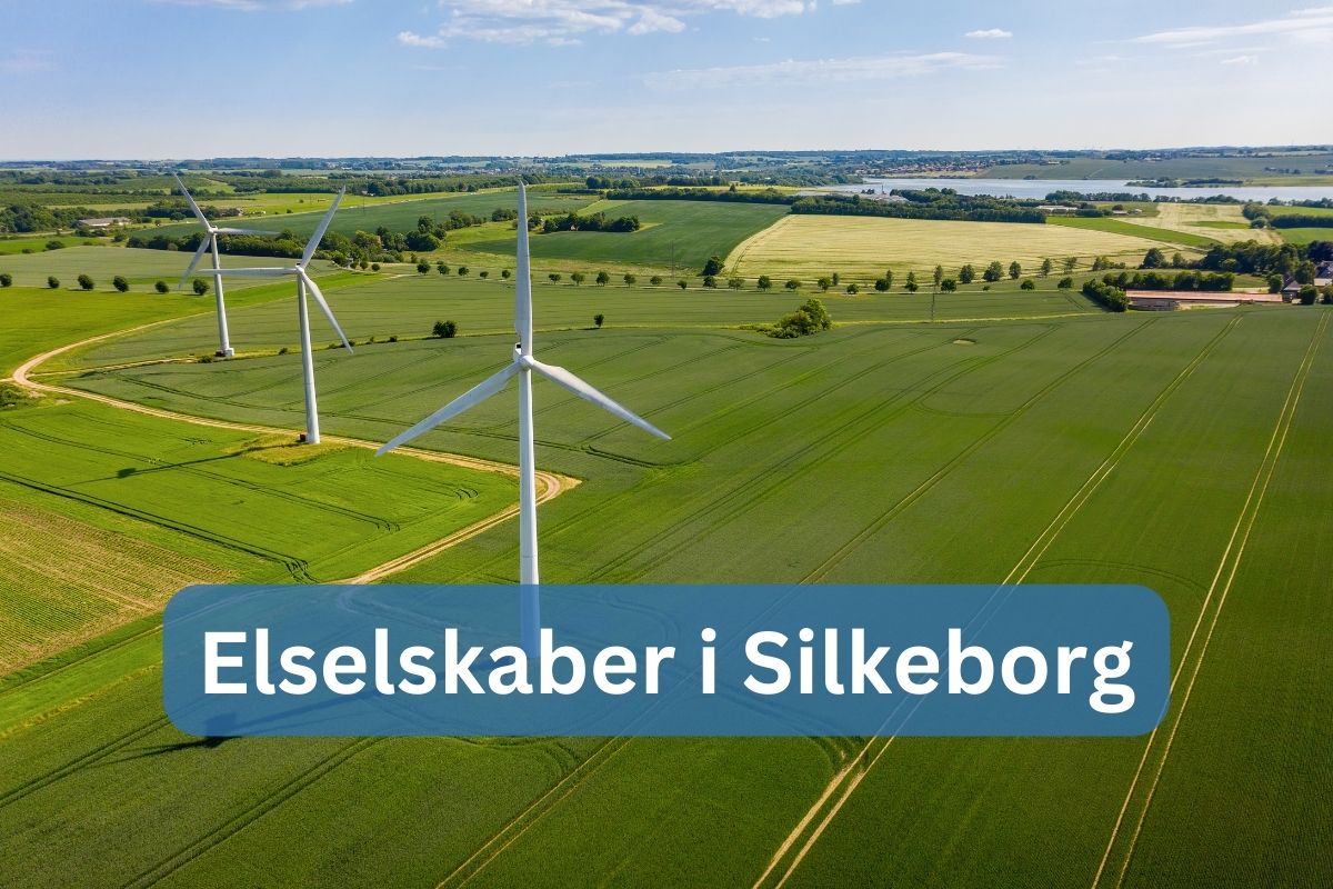 Elselskaber i Silkeborg